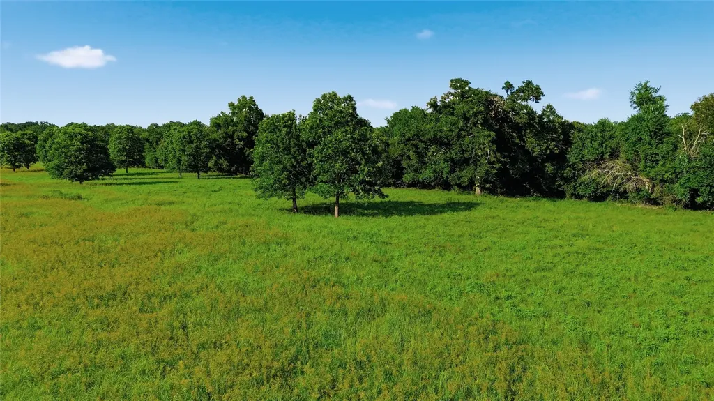 500 County Road 1300 Lake Creek TX 75450