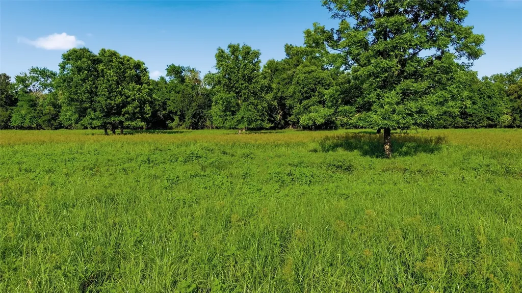 500 County Road 1300 Lake Creek TX 75450