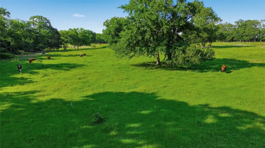 500 County Road 1300 Lake Creek TX 75450