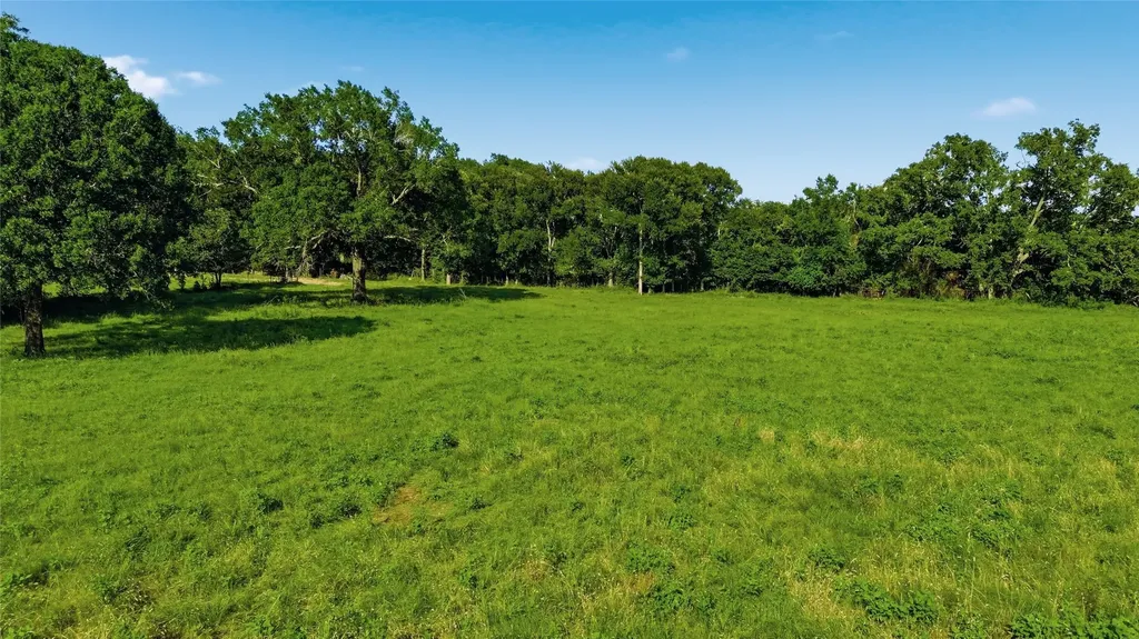 500 County Road 1300 Lake Creek TX 75450
