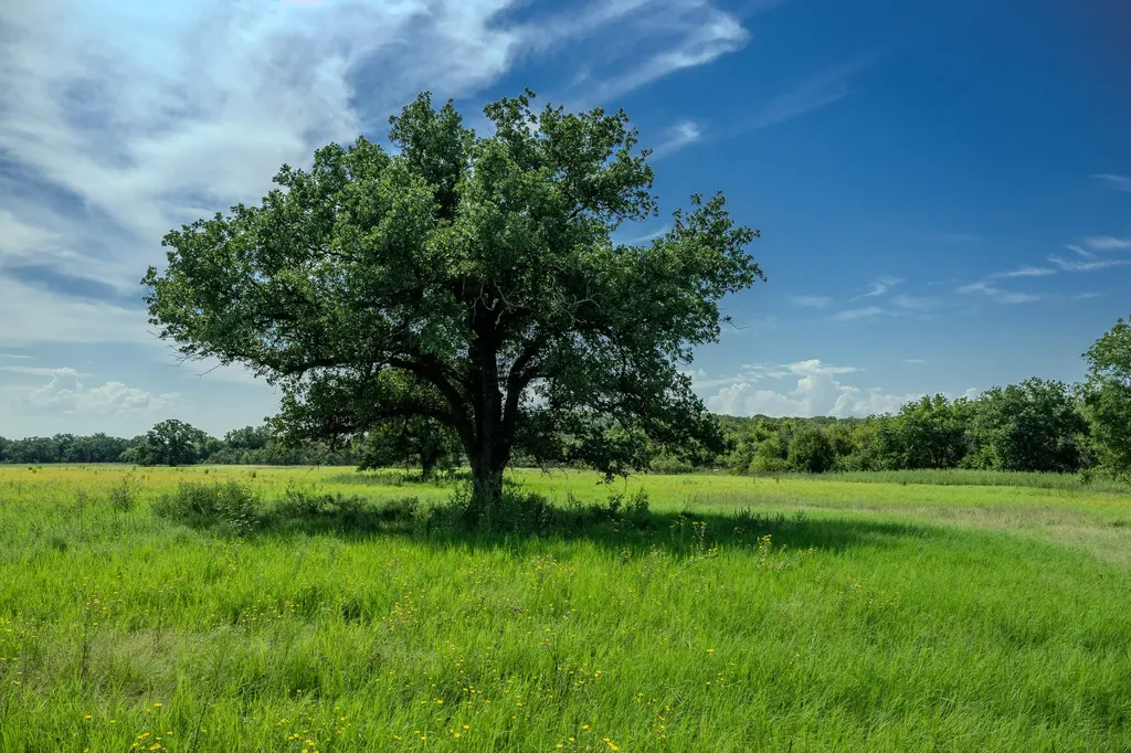 001 W Pleasant Valley Road Henrietta TX 76230