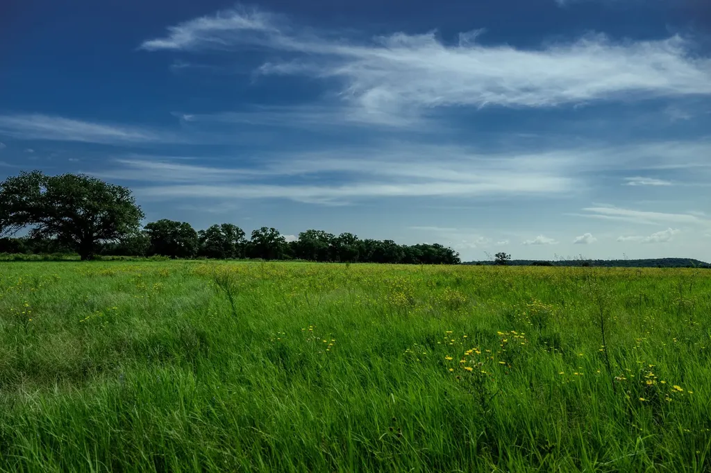 001 W Pleasant Valley Road Henrietta TX 76230