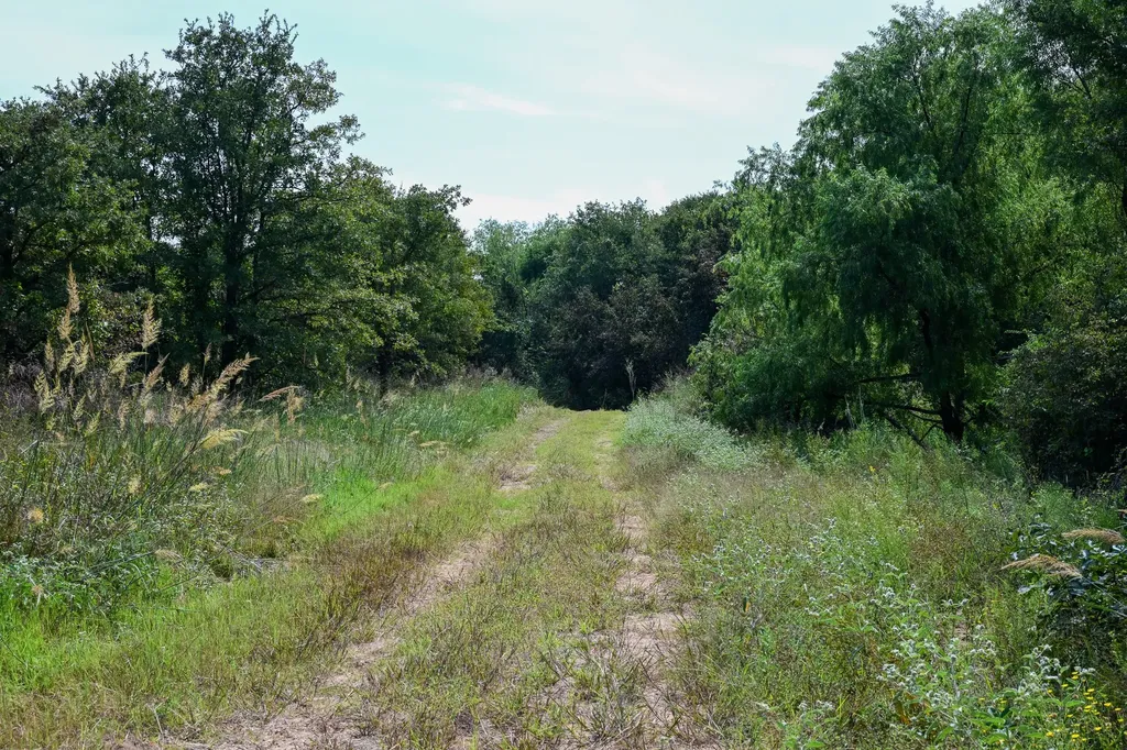 001 W Pleasant Valley Road Henrietta TX 76230