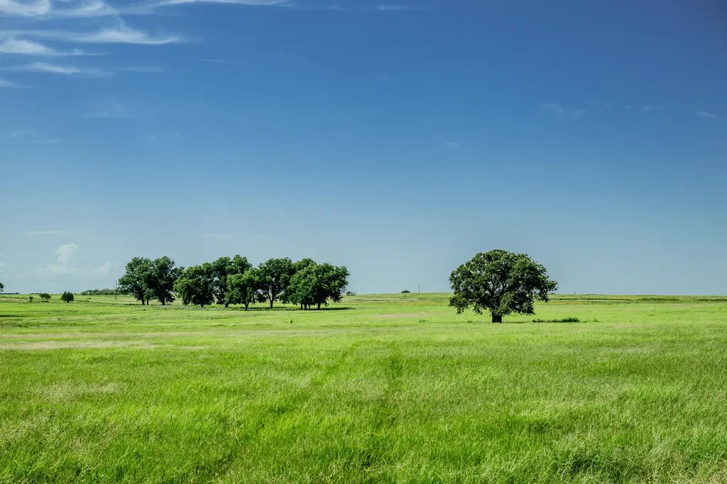 001 W Pleasant Valley Road Henrietta TX 76230