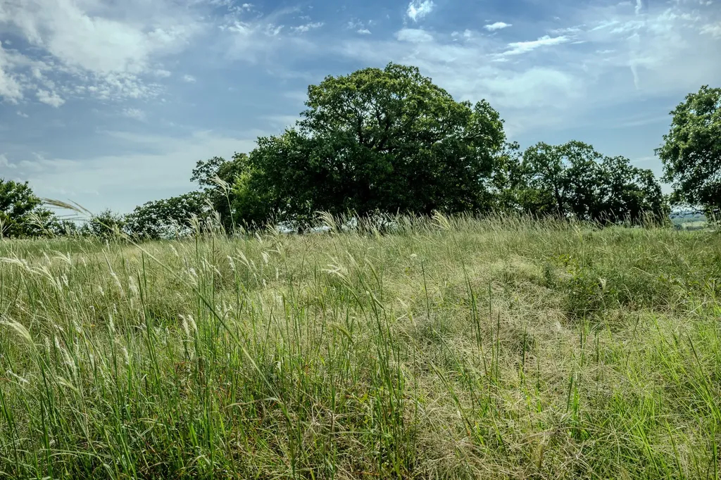 001 W Pleasant Valley Road Henrietta TX 76230