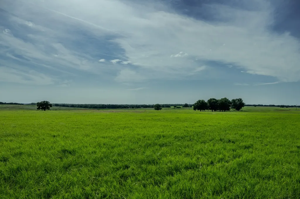 001 W Pleasant Valley Road Henrietta TX 76230