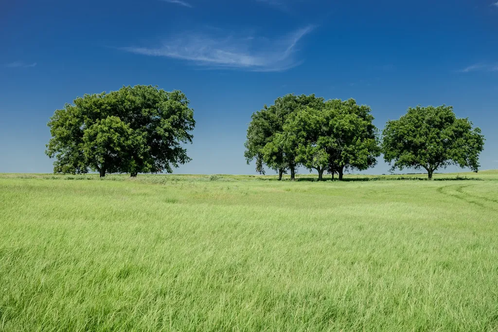 001 W Pleasant Valley Road Henrietta TX 76230