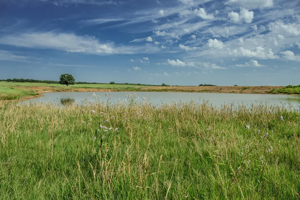001 W Pleasant Valley Road Henrietta TX 76230