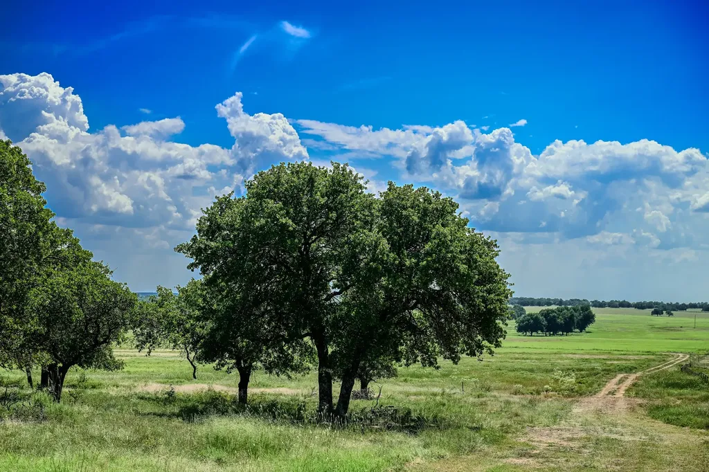 001 W Pleasant Valley Road Henrietta TX 76230