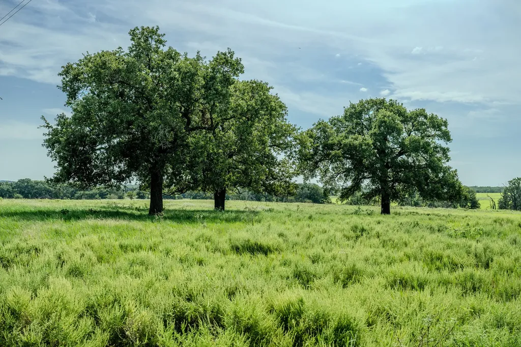 001 W Pleasant Valley Road Henrietta TX 76230