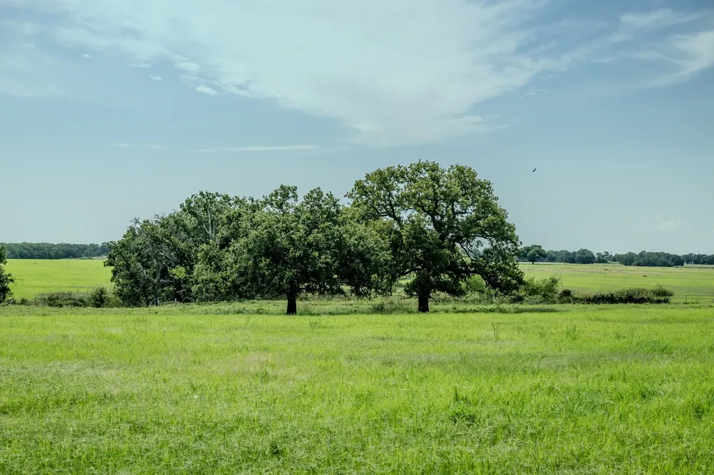 001 W Pleasant Valley Road Henrietta TX 76230