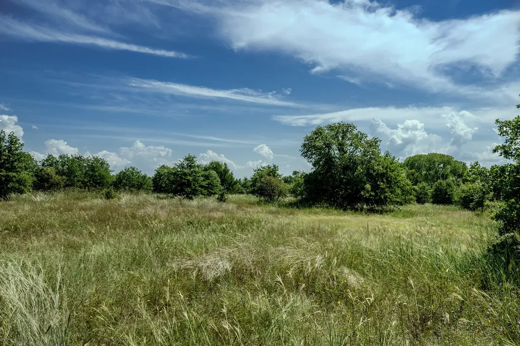 001 W Pleasant Valley Road Henrietta TX 76230