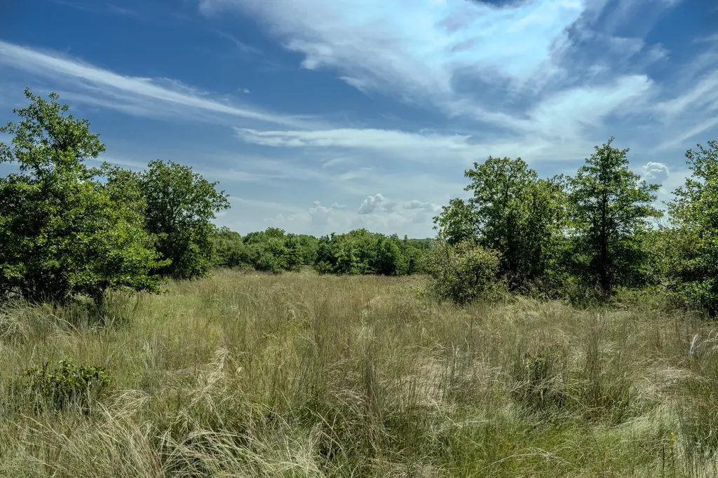 001 W Pleasant Valley Road Henrietta TX 76230