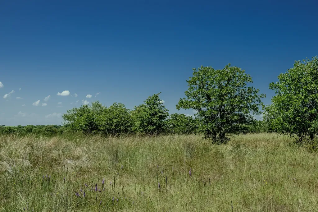 001 W Pleasant Valley Road Henrietta TX 76230