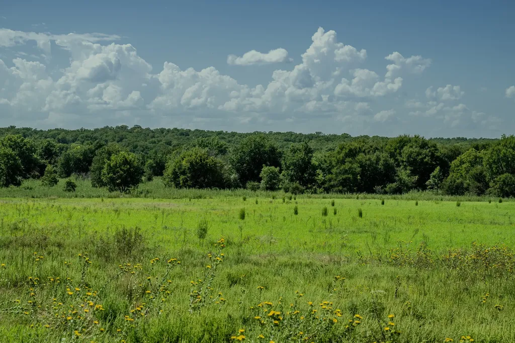 001 W Pleasant Valley Road Henrietta TX 76230