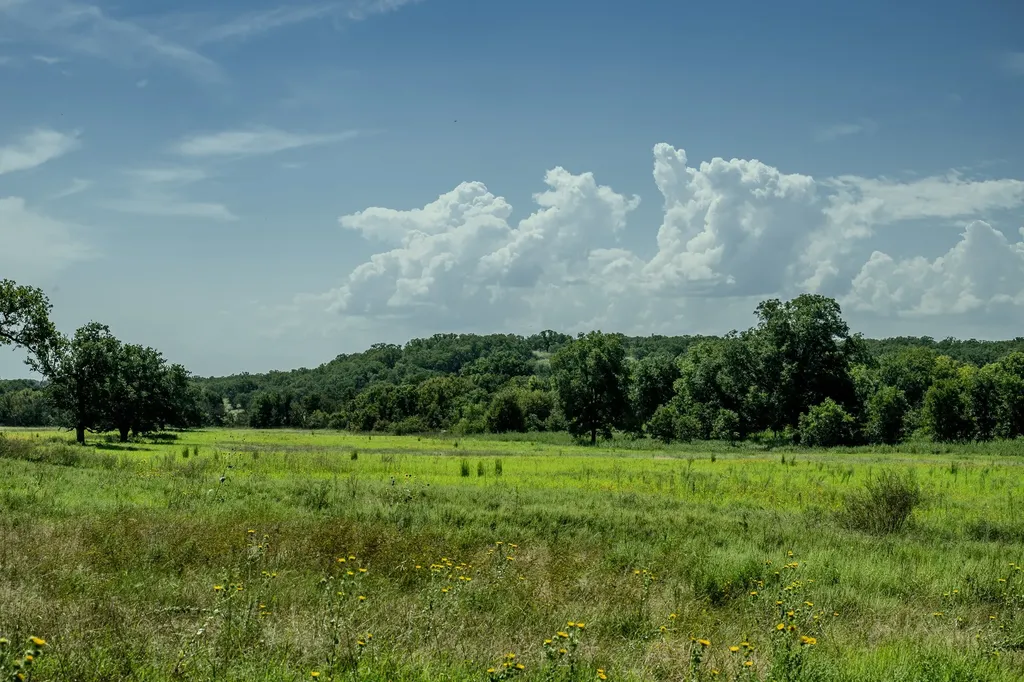001 W Pleasant Valley Road Henrietta TX 76230