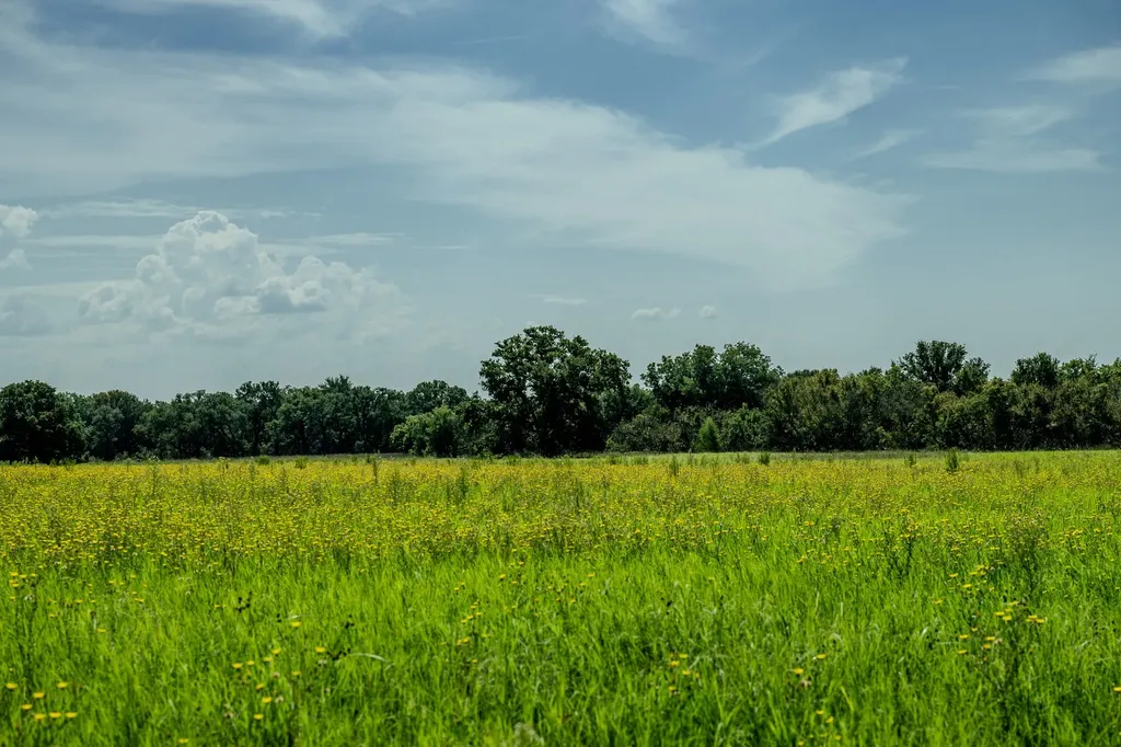001 W Pleasant Valley Road Henrietta TX 76230