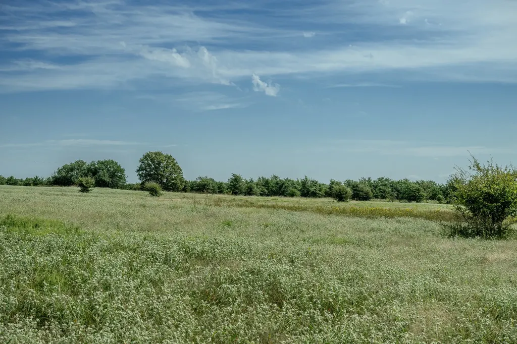 001 W Pleasant Valley Road Henrietta TX 76230