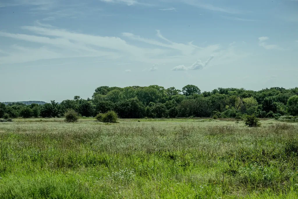 001 W Pleasant Valley Road Henrietta TX 76230