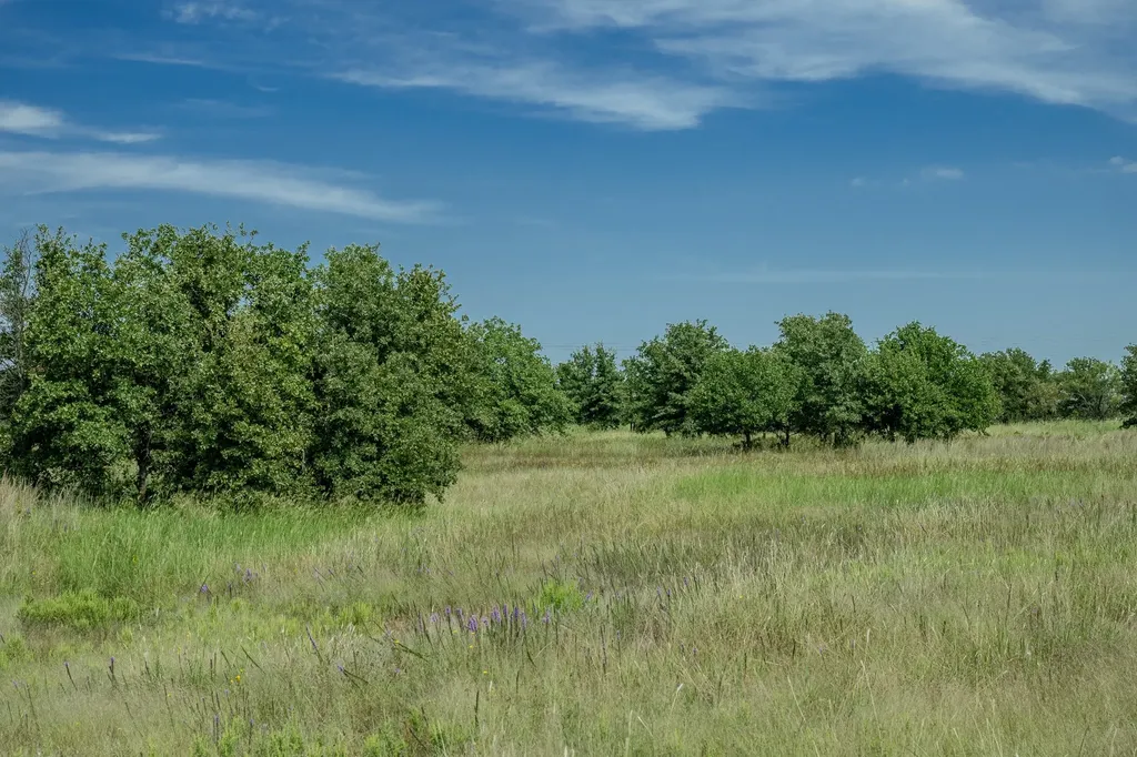 001 W Pleasant Valley Road Henrietta TX 76230