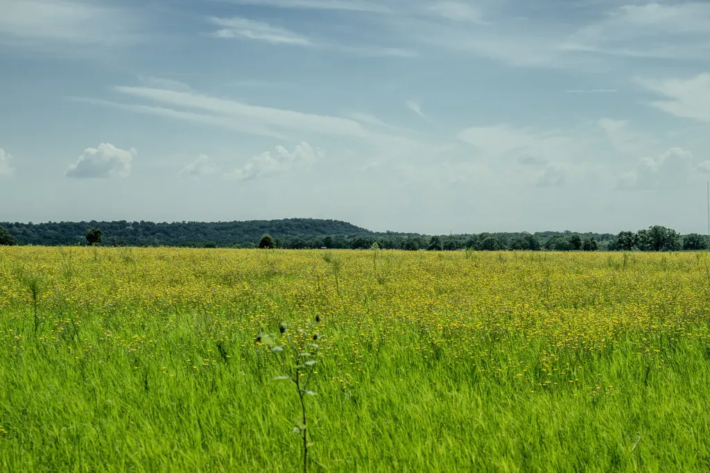 001 W Pleasant Valley Road Henrietta TX 76230