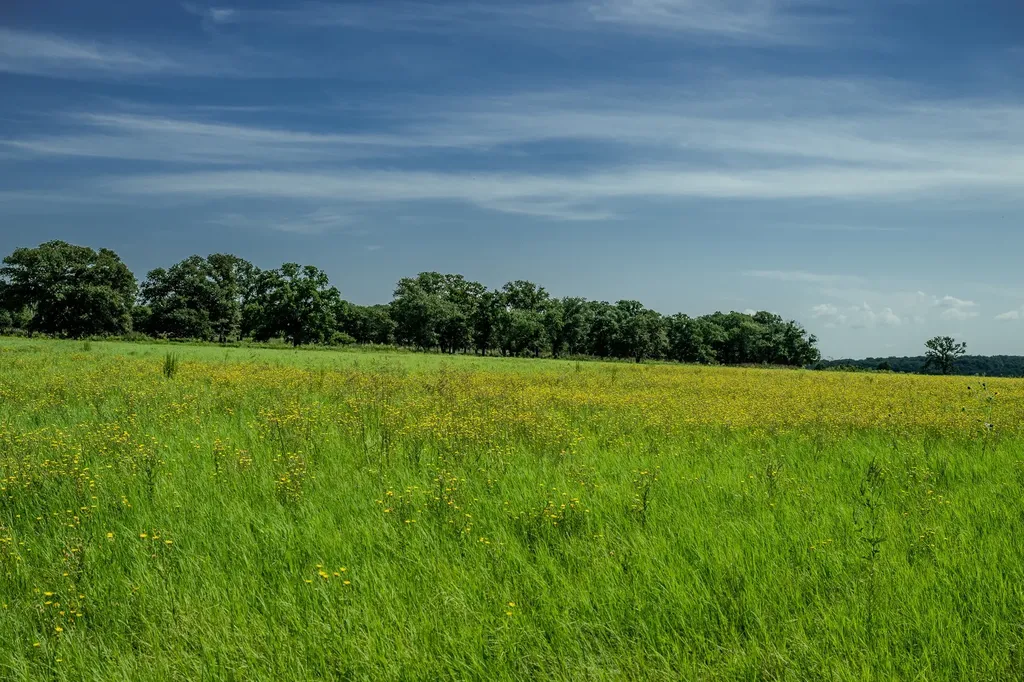 001 W Pleasant Valley Road Henrietta TX 76230