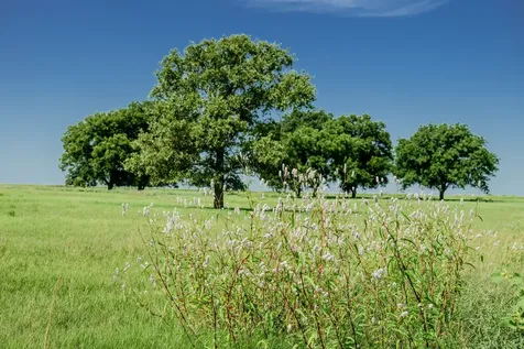 001 W Pleasant Valley Road Henrietta TX 76230