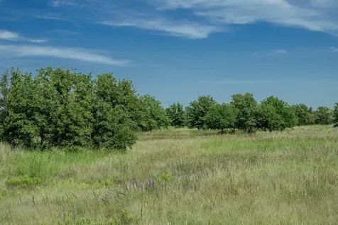 001 W Pleasant Valley Road Henrietta TX 76230