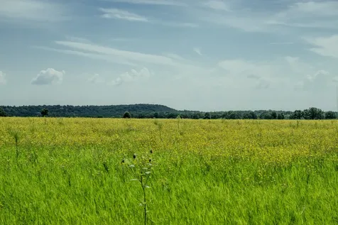 001 W Pleasant Valley Road Henrietta TX 76230