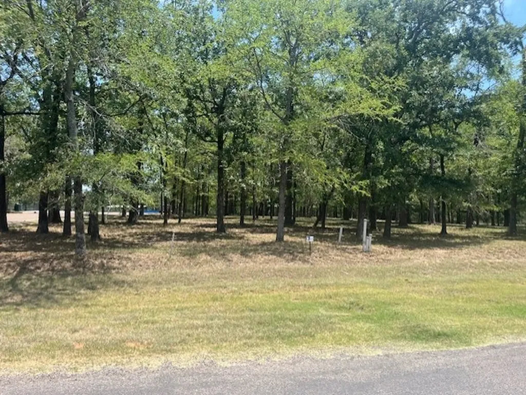 146 St Andrews Drive Mabank TX 75156