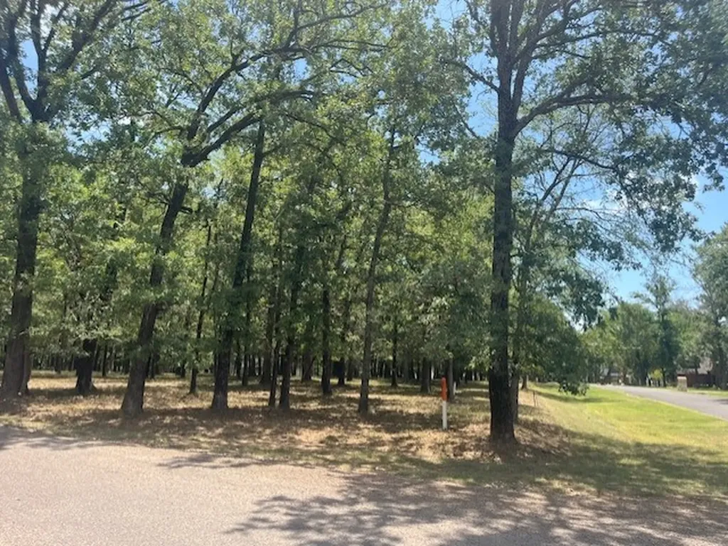 146 St Andrews Drive Mabank TX 75156
