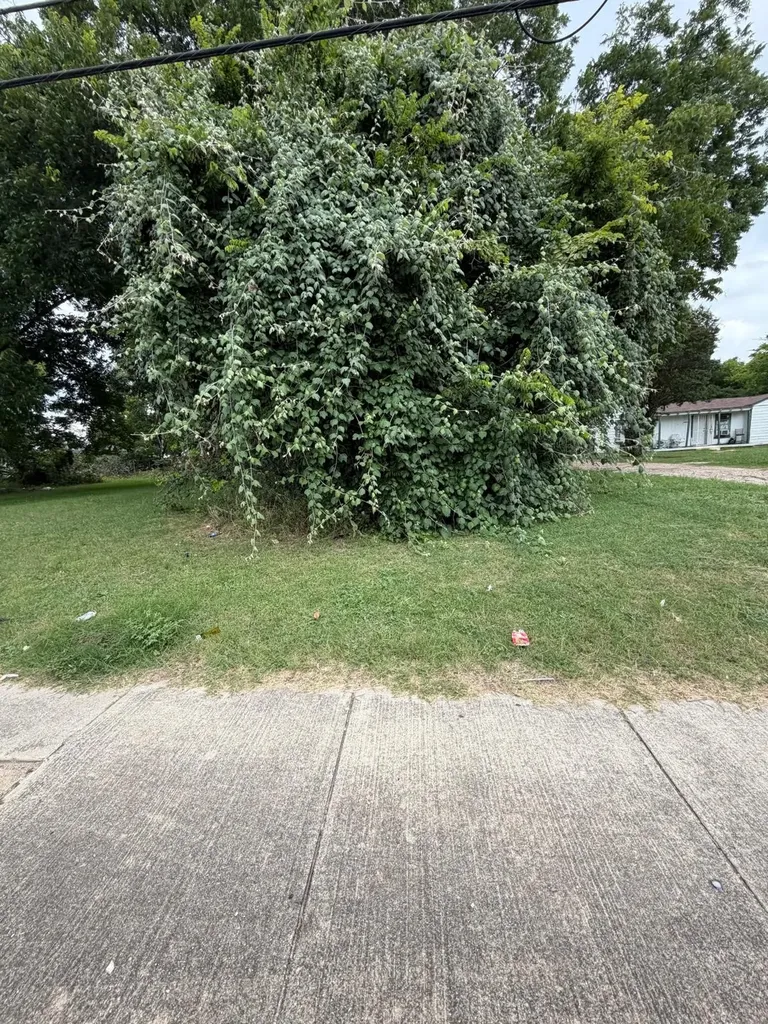 2523 E Ledbetter Drive Dallas TX 75216