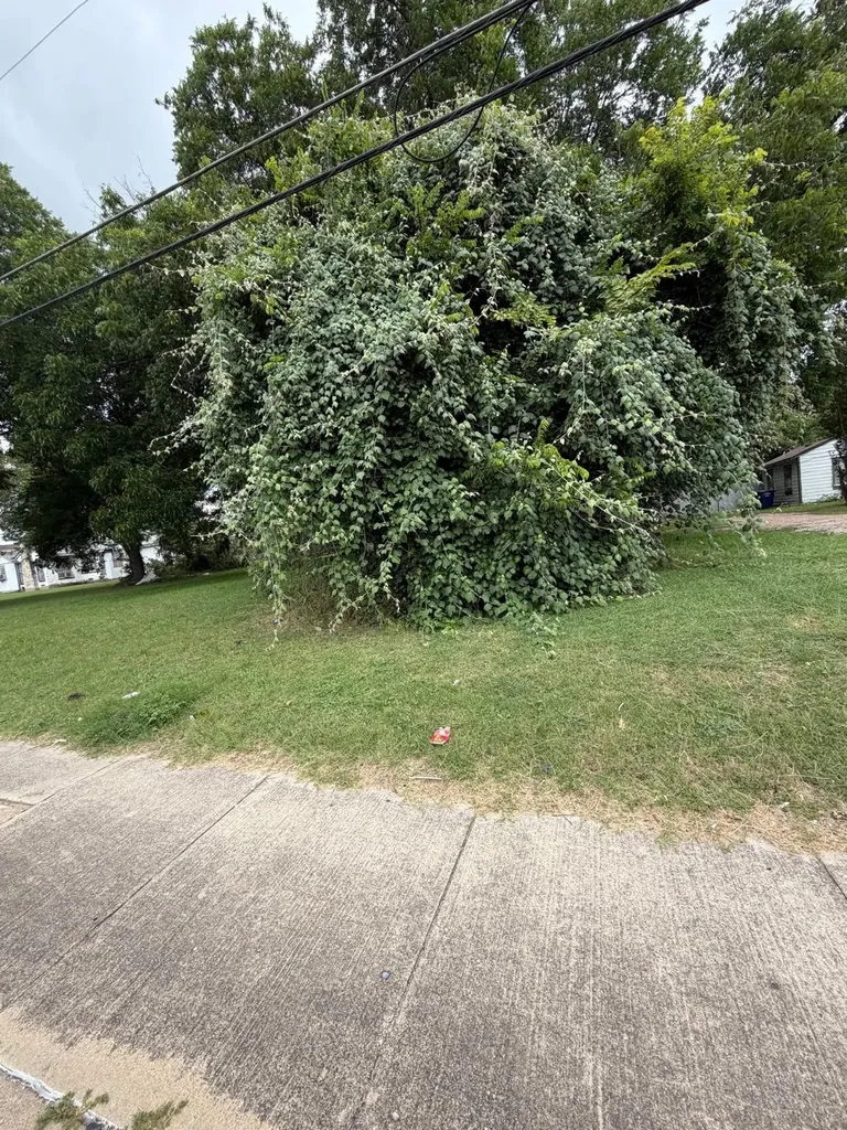 2523 E Ledbetter Drive Dallas TX 75216
