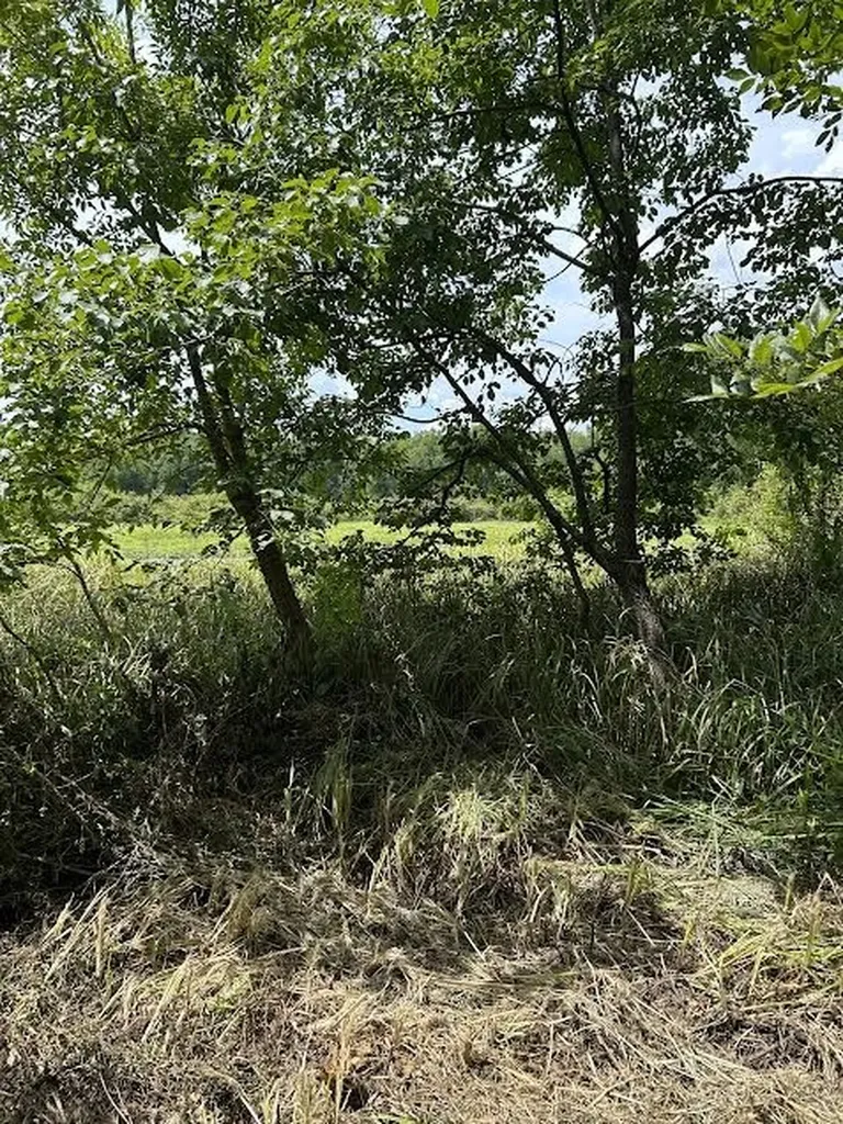0000 Cr-3401 De Kalb TX 75559