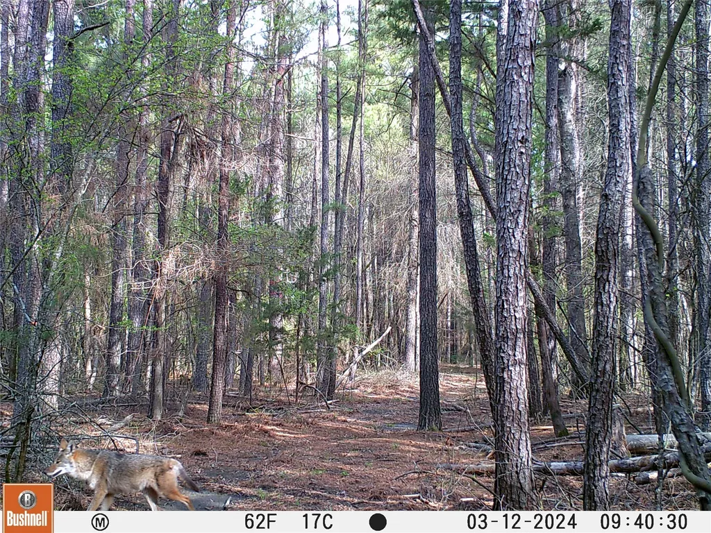 0000 Cr-3401 De Kalb TX 75559