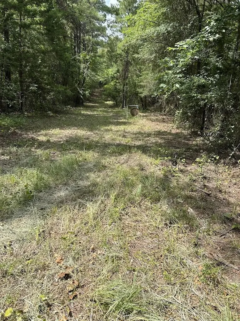 0000 Cr-3401 De Kalb TX 75559