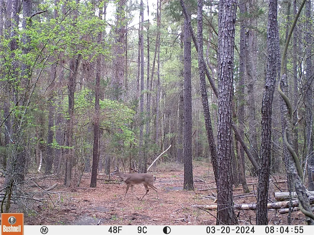 0000 Cr-3401 De Kalb TX 75559