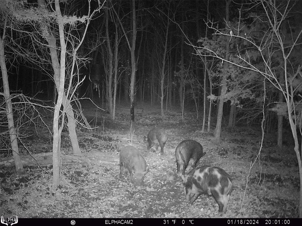 0000 Cr-3401 De Kalb TX 75559