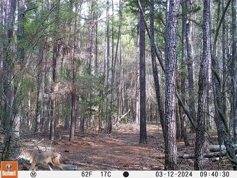 0000 Cr-3401 De Kalb TX 75559