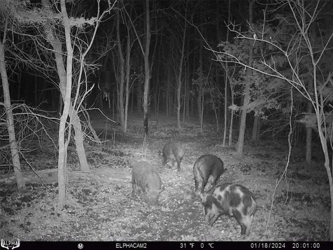 0000 Cr-3401 De Kalb TX 75559