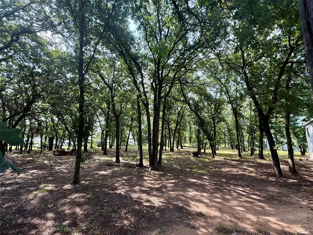 145 Adalida Lane Springtown TX 76082