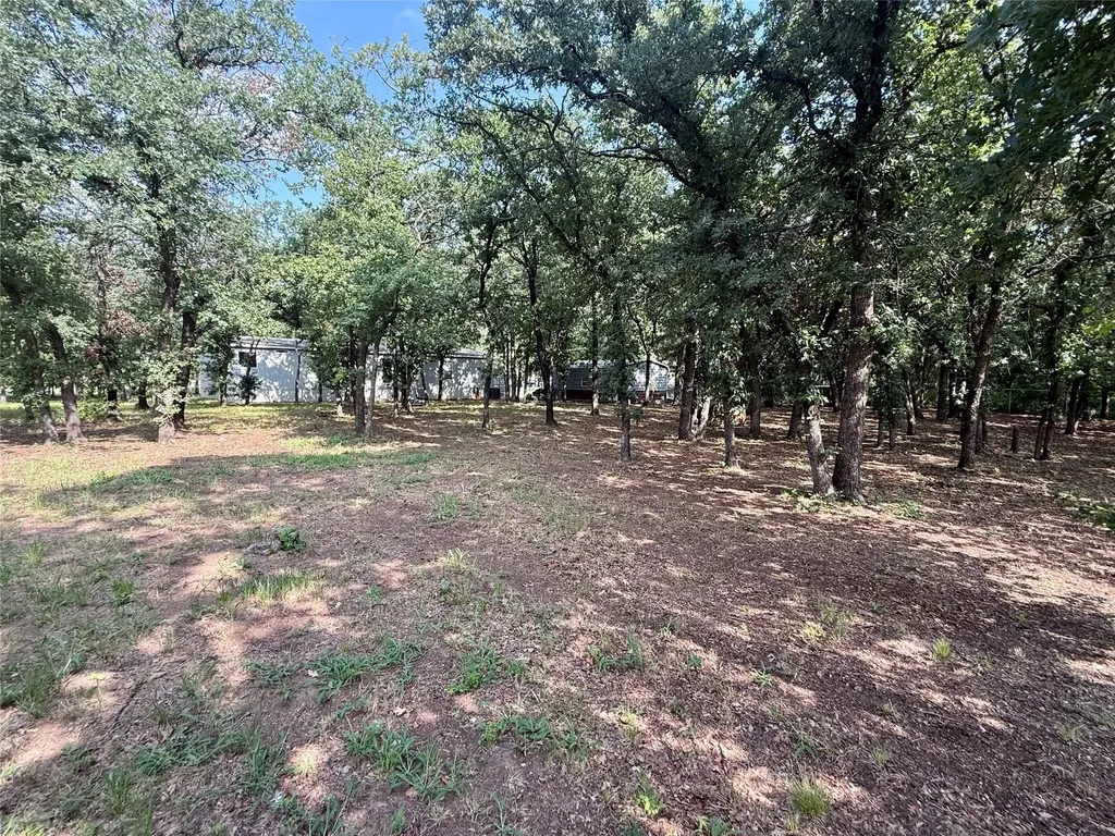 145 Adalida Lane Springtown TX 76082