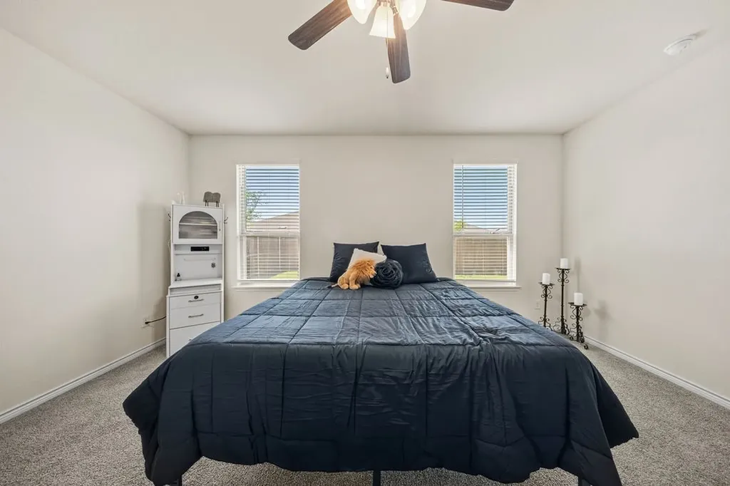 2009 Sue Ellen Street Anna TX 75409