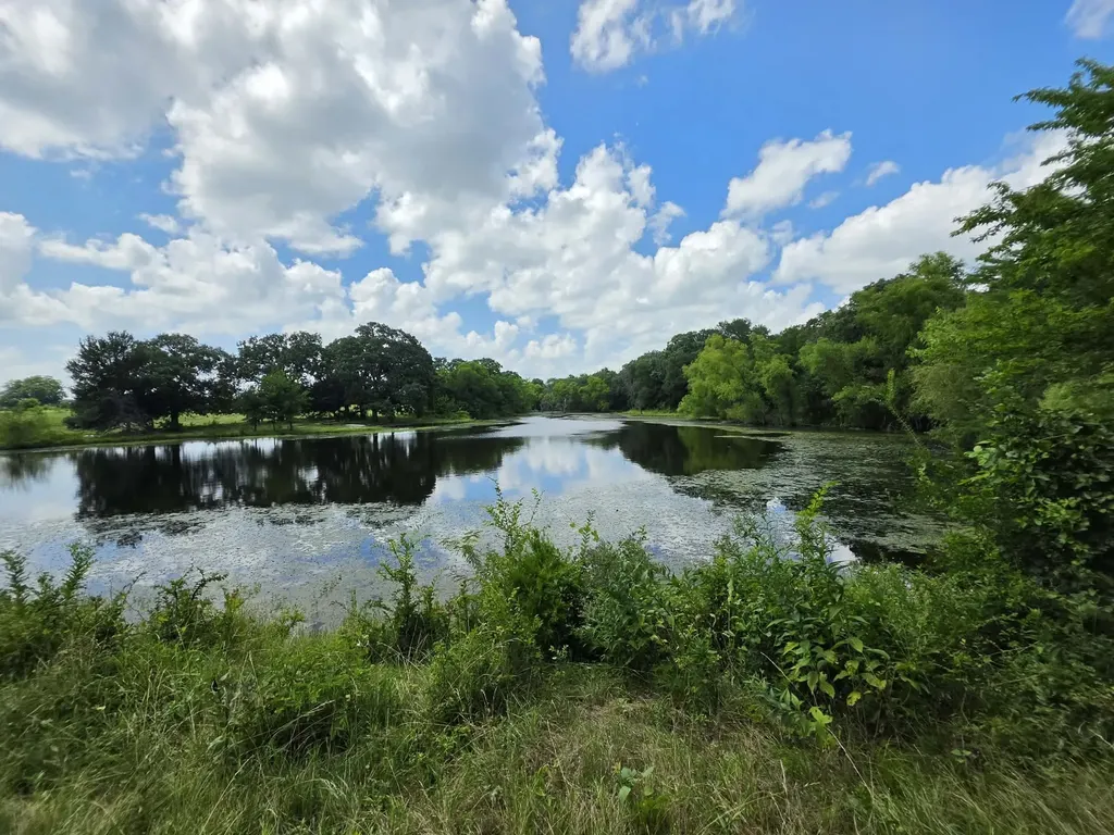 32.243 Acres S Hwy 121 Highway Bonham TX 75418
