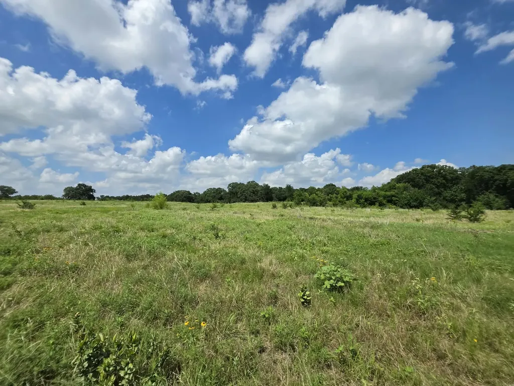 32.243 Acres S Hwy 121 Highway Bonham TX 75418