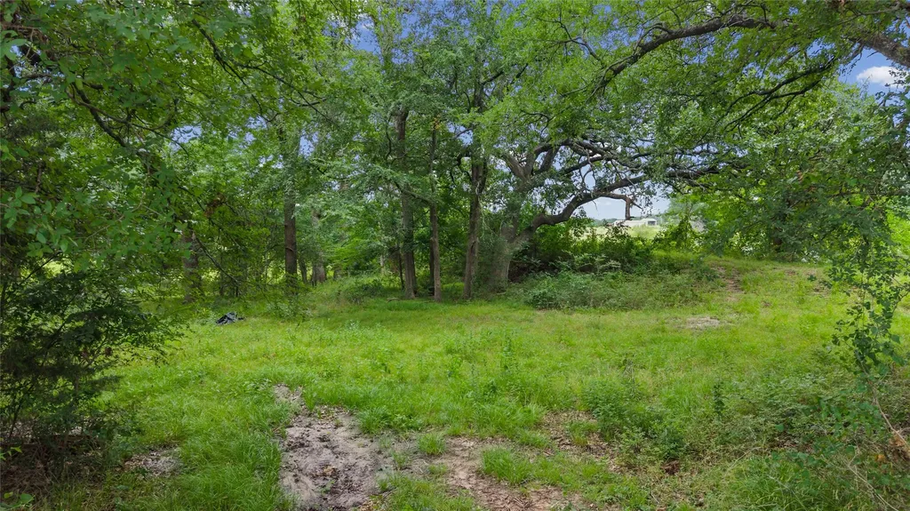 32.243 Acres S Hwy 121 Highway Bonham TX 75418