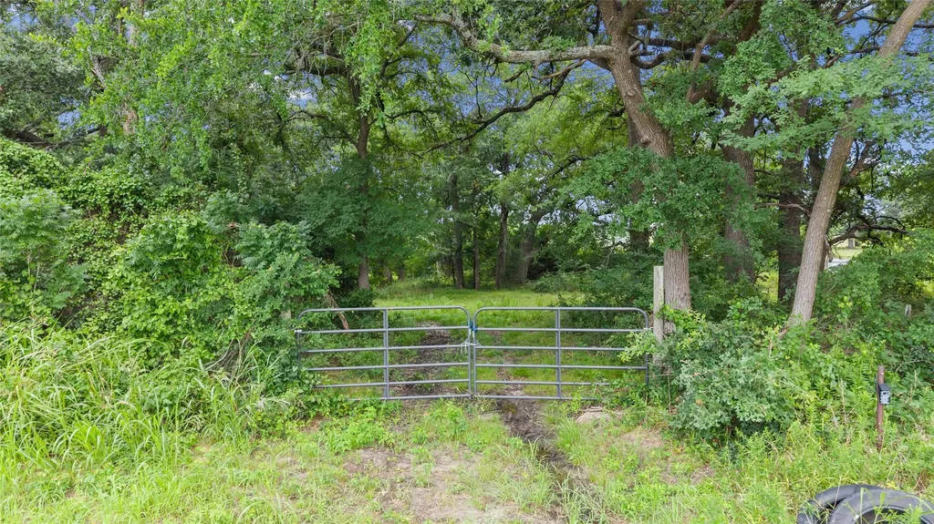32.243 Acres S Hwy 121 Highway Bonham TX 75418