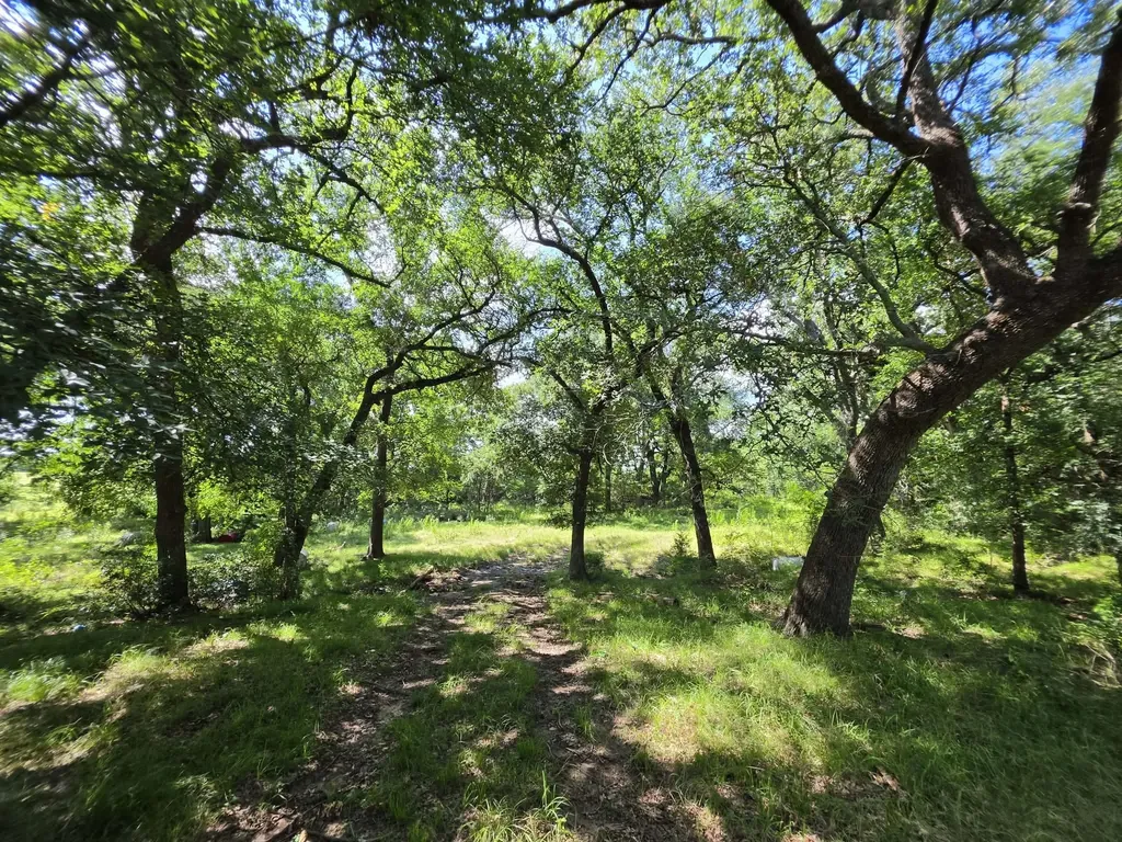 32.243 Acres S Hwy 121 Highway Bonham TX 75418