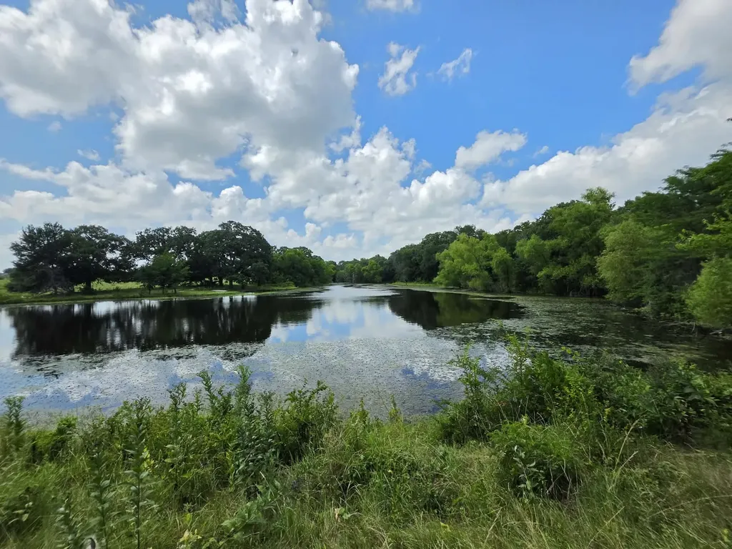 32.243 Acres S Hwy 121 Highway Bonham TX 75418