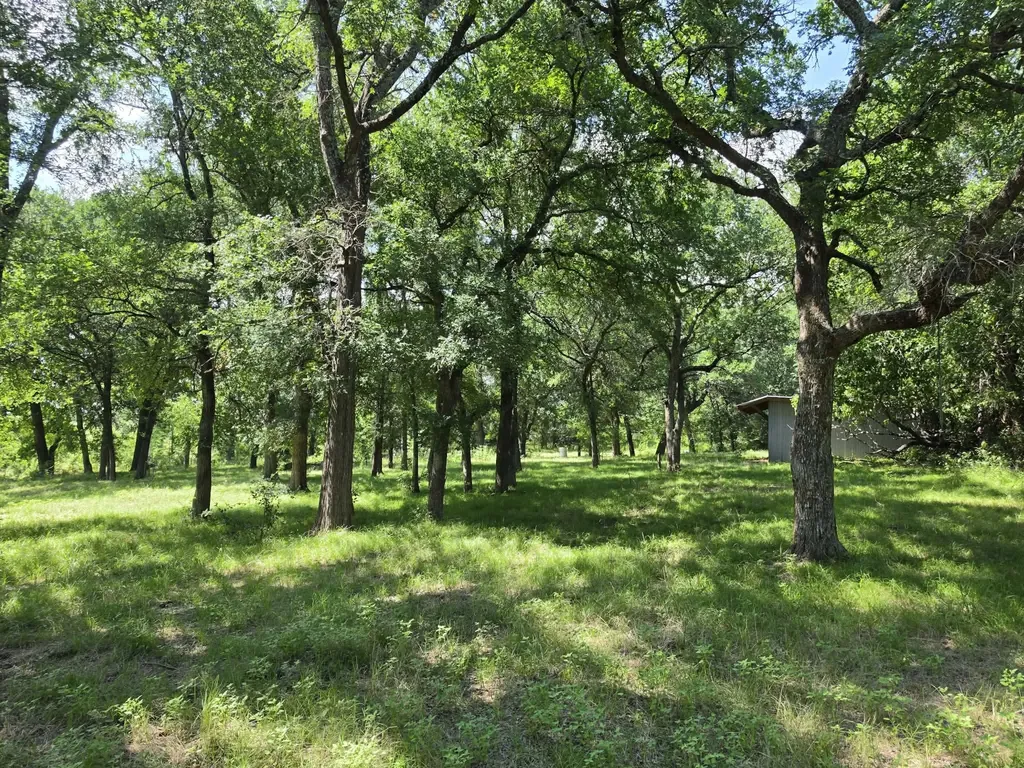 32.243 Acres S Hwy 121 Highway Bonham TX 75418